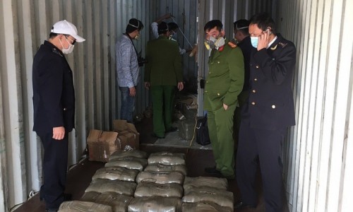 Hải Phòng: Bắt giữ hơn nửa tấn cần sa giấu trong vách container