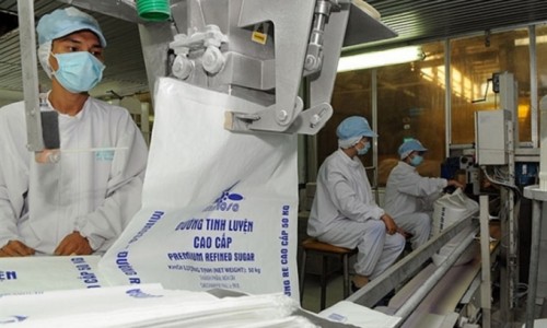 Kết quả kinh doanh cực tốt, cổ phiếu SBT vẫn giảm mạnh