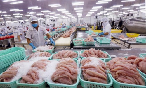 Gần 700 doanh nghiệp Việt được phép xuất khẩu thủy sản vào Đài Loan