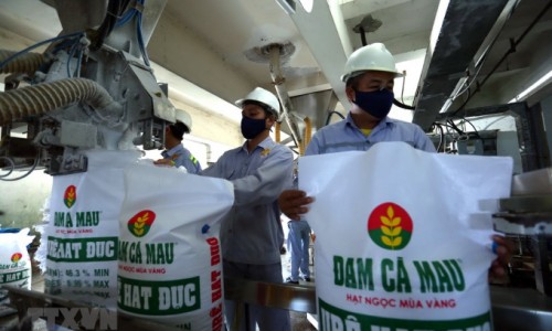 2021 là năm khó đoán với cổ phiếu ngành phân bón