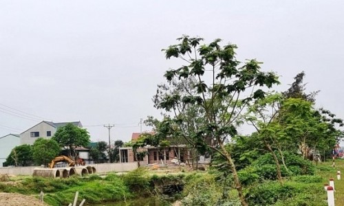 Hà Tĩnh: Sau 5 năm không triển khai, dự án 8.000 m2 bị đề nghị thu hồi