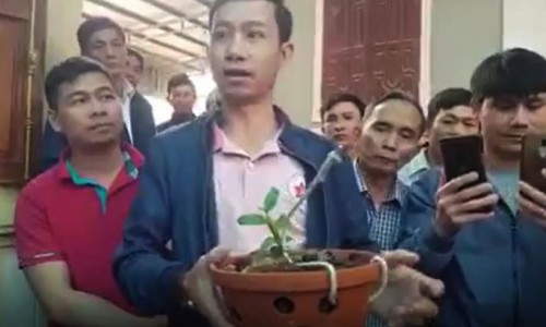 Mua bán lan đột biến với giá 1,65 tỷ đồng: Cơ quan thuế Nghệ An vào cuộc
