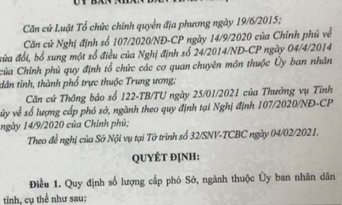 Nghệ An: Nhiều sở, ngành có đến 4 cấp phó