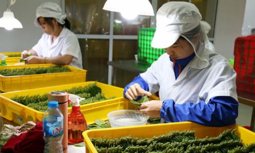 Thu ngân sách Nhà nước quý I của Bắc Ninh đạt hơn 9.600 tỷ đồng