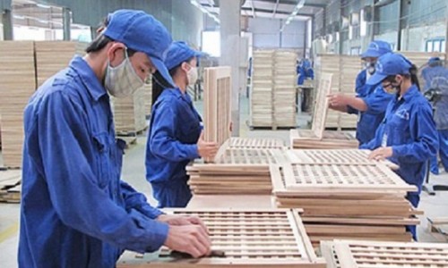 Cổ phiếu TTF tăng mạnh dù bị nghi ngờ khả năng duy trì hoạt động