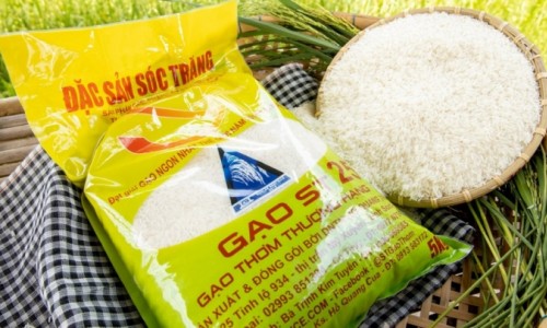 Gạo ST24, ST25 tiếp tục bị đăng ký nhãn hiệu ở Úc: Cơ quan chức năng nói gì?