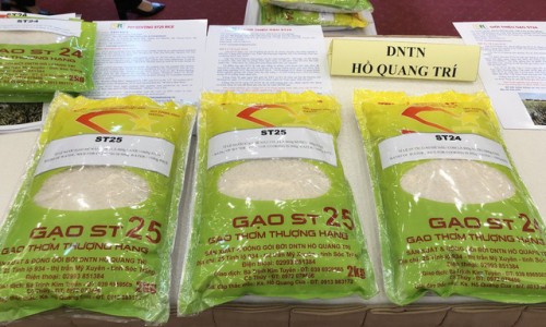 Vi phạm bản quyền, Việt Nam có nguy cơ mất quyền dự thi