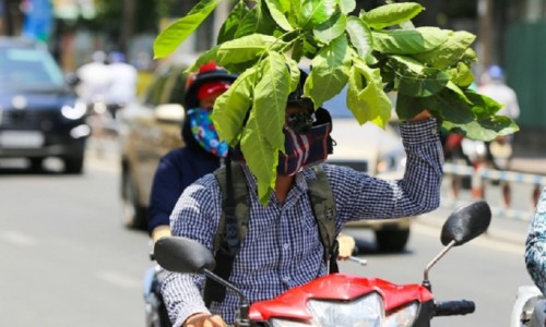 Miền Bắc nắng nóng, có nơi trên 38 độ