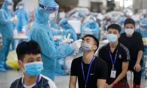 Trưa 10/6: Việt Nam có thêm 88 ca mắc COVID-19 mới