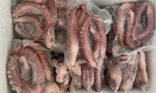 Râu bạch tuộc giá rẻ tràn lan