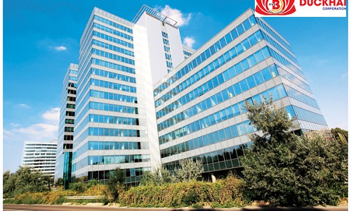 TP.HCM: Nhiều “đại gia” bất động sản bị