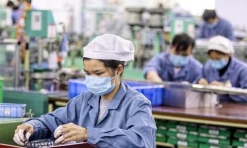 Nhiều doanh nghiệp bị cấm đưa lao động sang Nhật