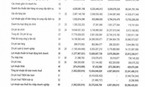 DRH Holdings bất ngờ báo lỗ quý sau 8 năm,