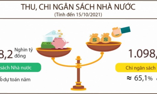 Thu ngân sách Nhà nước đầu tháng 10/2021 đạt hơn 30.000 tỷ