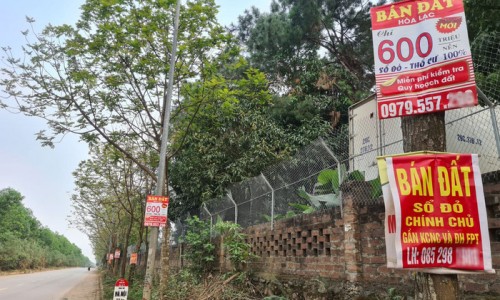 Cảnh giác cơn sốt đấu giá đất ở nông thôn
