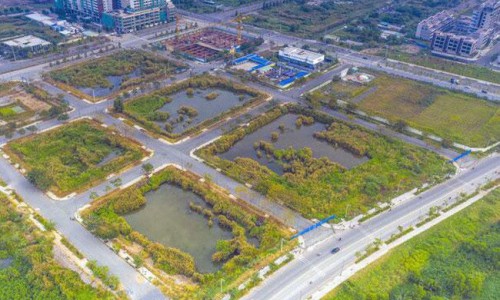 Yêu cầu báo cáo việc cấp tín dụng cho doanh nghiệp đấu giá đất Thủ Thiêm