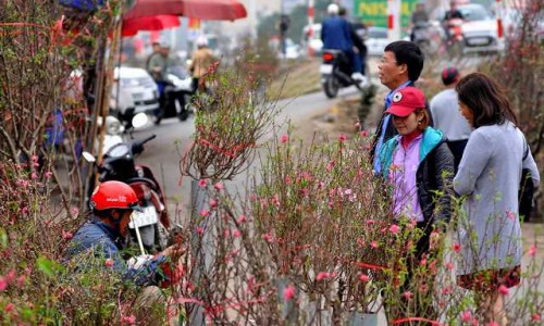 Nghỉ tết Nguyên đán Nhâm Dần từ ngày 31/1 đến hết ngày 4/2