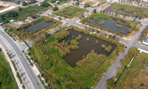 Lô đất Tân Hoàng Minh bỏ cọc sẽ được sẽ đấu giá lại