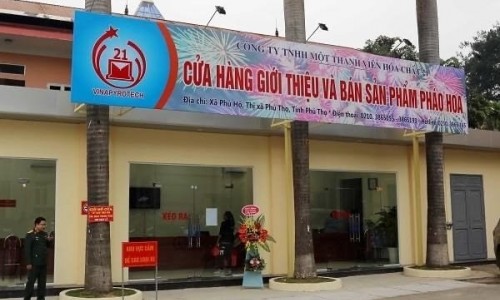Pháo hoa Z121