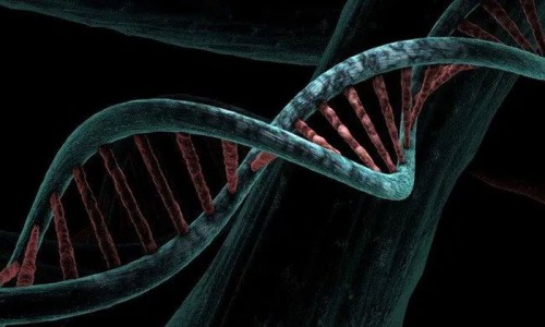 Thụy Điển thành công xác định biến thể gene có khả năng chống lại COVID-19