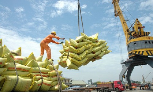 Triền vọng xuất khẩu gạo Việt sang thị trường EU,