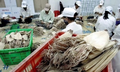 4 loài thủy vào Nhật Bản phải có chứng nhận khai thác