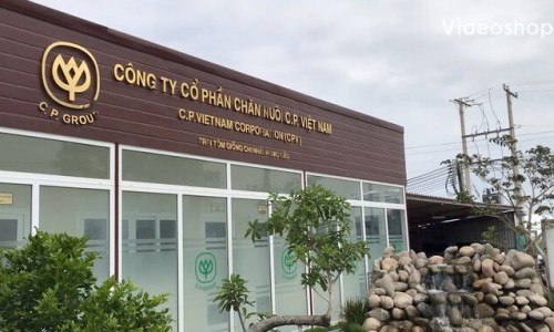 Bạc Liêu: Công ty CP Chăn nuôi C.P. Việt Nam bị thu hồi gần 2.500m2 đất