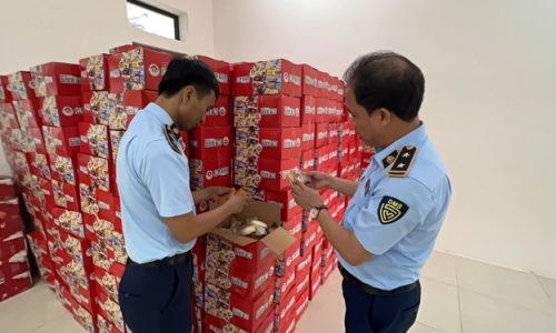 Hà Nội phát hiện nghìn thùng bánh bông lan, táo đỏ, hướng dương nghi nhập lậu