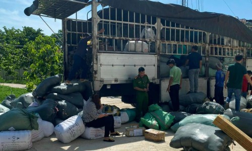 Bình Thuận: Tạm giữ hàng nghìn phụ kiện điện thoại, đồ điện gia dụng không rõ nguồn gốc xuất xứ