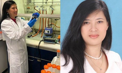 Chân dung nữ giáo sư người Việt được RSC vinh danh trong nghiên cứu và ĐMST