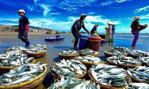 Xuất khẩu thủy sản nửa đầu năm mang về gần 6 tỷ USD