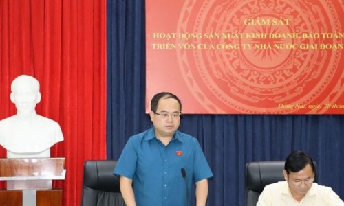 Đồng Nai: Rà soát, làm rõ lãng phí đất đai tại dự án của Dofico