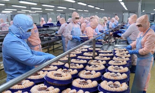 Hoa Kỳ tiếp tục áp thuế chống bán phá giá với tôm nước ấm từ Việt Nam