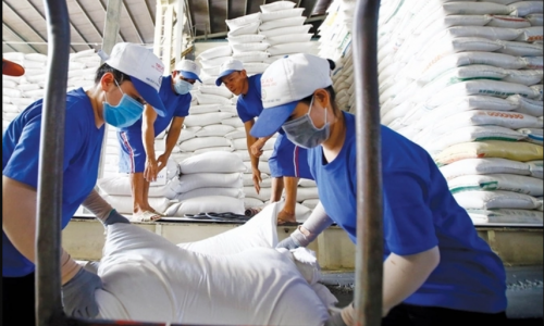 Giá lúa gạo tiếp tục tăng