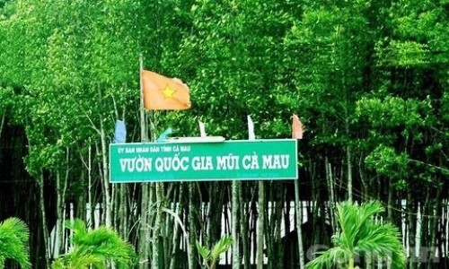 Nguyên Giám đốc Vườn quốc gia Mũi Cà Mau bị bắt vì tham ô hơn 6,5 tỷ đồng