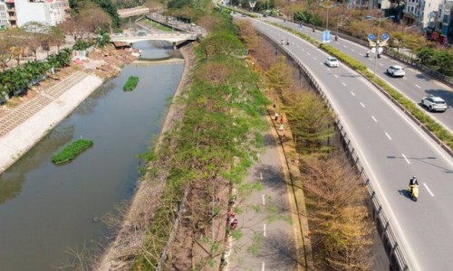 Bộ Công an yêu cầu định giá cây xanh ở Hà Nội