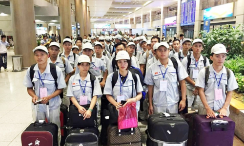 4 công ty đưa lao động sang Hàn Quốc bị xử phạt, đình chỉ hoạt động