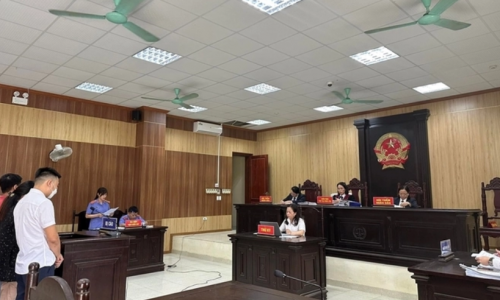 Bắt tay nhau dìm giá đất để trục lợi, 2 nhân viên Công ty đấu giá Hoàng Nguyên lĩnh án