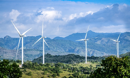 Bamboo Capital: “Ôm” tiền cho công ty âm vốn có cổ phần của ông Nguyễn Hồ Nam vay