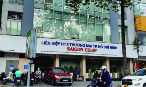 Thanh tra Tp.HCM phát hiện vi phạm hơn 418 tỷ đồng