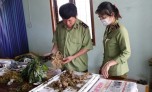 Bắt vụ vận chuyển sâm Ngọc Linh giả tại Kon Tum