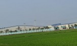 Nghệ An: Huyện “lúa” không có nợ đọng nông thôn mới các công trình xây dựng cơ bản
