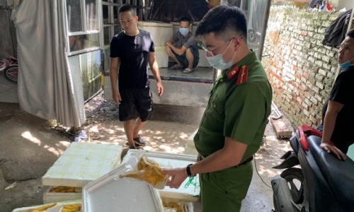 Bắc Từ Liêm, Hà Nội: Thu giữ số lượng lớn gà ủ muối tiêu không rõ nguồn gốc