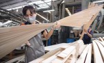 Bộ Tài chính "bác" đề xuất tăng thuế xuất khẩu gỗ