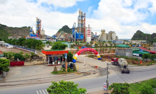 Quảng Ninh: Công ty Cổ phần xi măng và xây dựng Quảng Ninh nợ thuế hơn 116 tỷ đồng