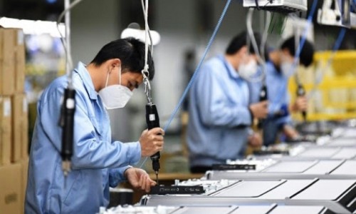 Chính phủ sẽ miễn, giảm thuế cho người dân và doanh nghiệp