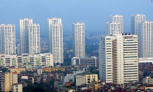 'Bán lúa non', chủ đầu tư dự án có thể bị phạt 800 triệu đồng