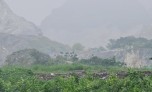Hà Nam: Hai doanh nghiệp bị phạt gần 1,7 tỷ đồng