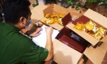 Hà Nội: Phát hiện xe tải 'luồng xanh' chở gần 10 tấn bánh Trung Quốc không nguồn gốc