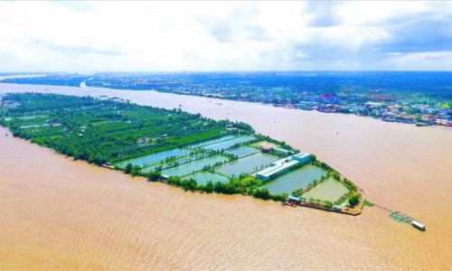 Cần Thơ: Thu hồi dự án khu du lịch Cồn Sơn hơn 1.570 tỷ đồng của TMS Group